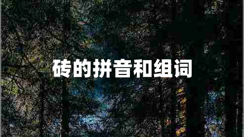 磚的拼音和組詞