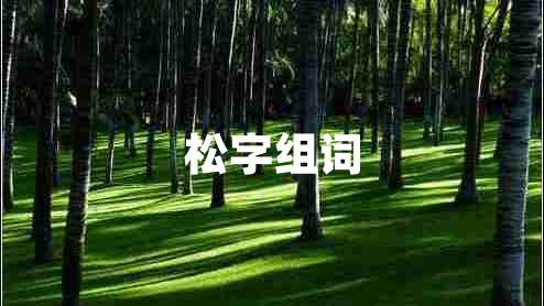 松字組詞 松字組詞