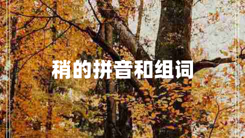 稍的拼音和組詞