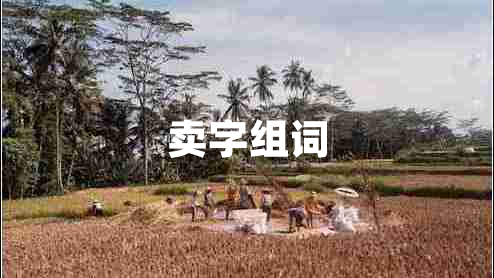 賣字組詞