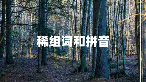 稀組詞和拼音