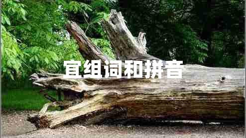 宜組詞和拼音 宜組詞和拼音