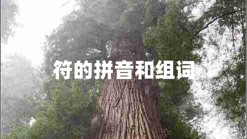 符的拼音和組詞