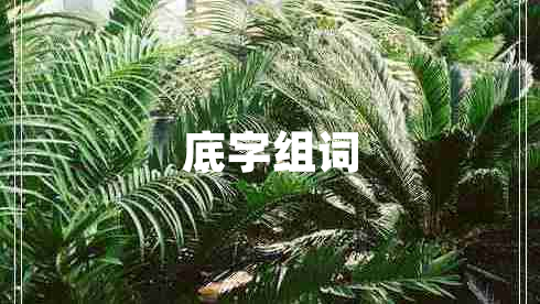 底字組詞 底字組詞