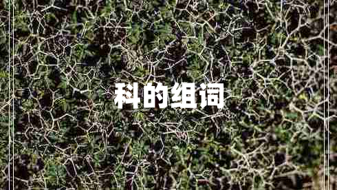 科的組詞