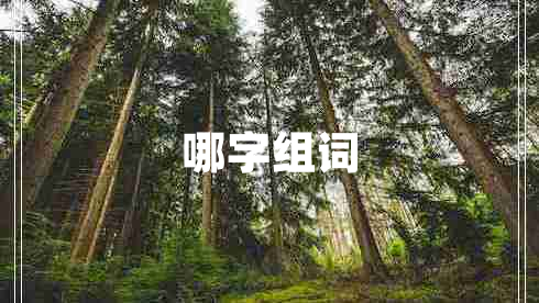 哪字組詞 哪字組詞