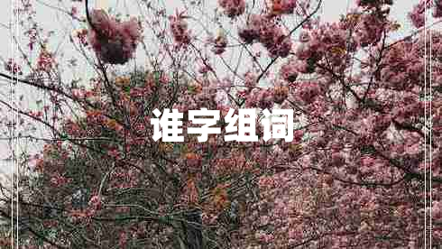 誰(shuí)字組詞 誰(shuí)字組詞