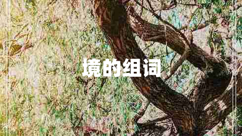 境的組詞 境的組詞