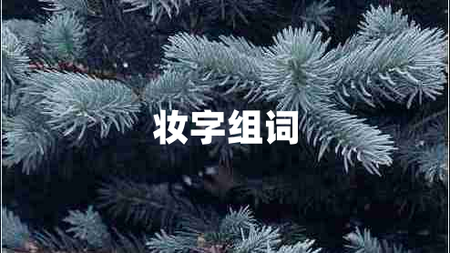 妝字組詞 妝字組詞