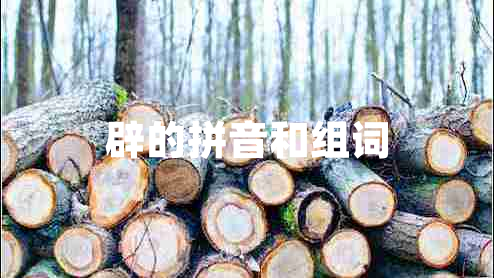 辟的拼音和組詞