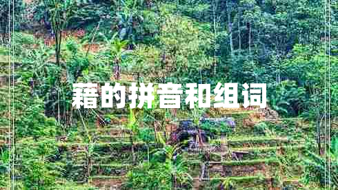 藉的拼音和組詞