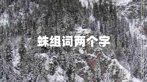 蛛組詞兩個(gè)字