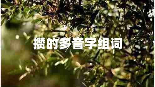 攢的多音字組詞