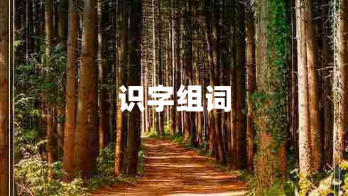 識字組詞 識字組詞