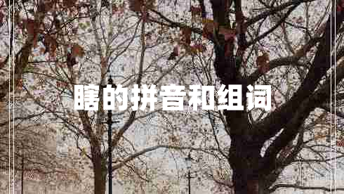 瞎的拼音和組詞