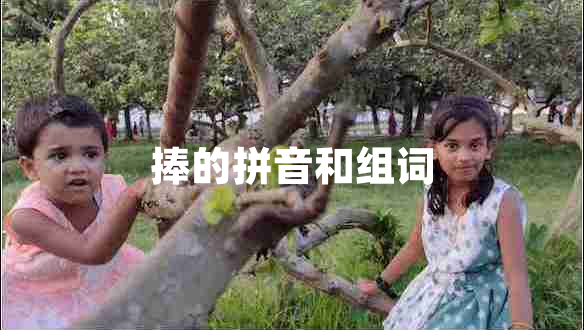 捧的拼音和組詞