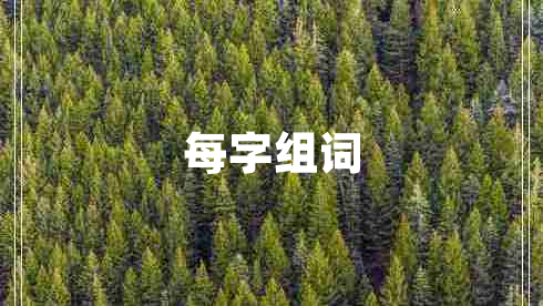 每字組詞