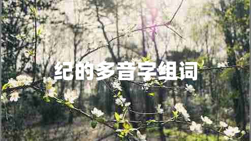 紀的多音字組詞