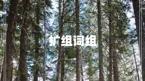 擴(kuò)組詞組 擴(kuò)組詞組