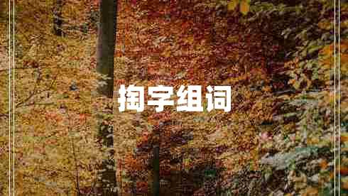 掏字組詞