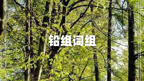 鉛組詞組 鉛組詞組