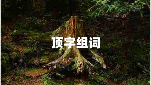 頂字組詞 頂字組詞