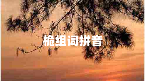 桅組詞拼音