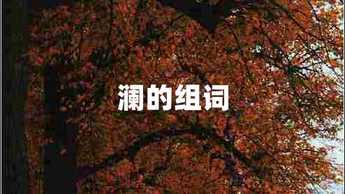 瀾的組詞 瀾的組詞