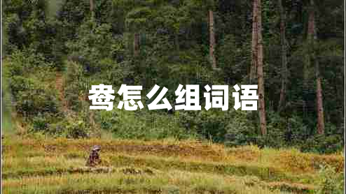 鴦怎么組詞語(yǔ) 鴦怎么組詞語(yǔ)