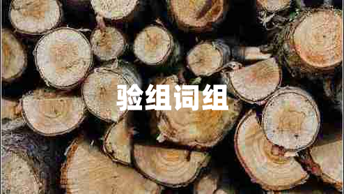 驗(yàn)組詞組 驗(yàn)組詞組