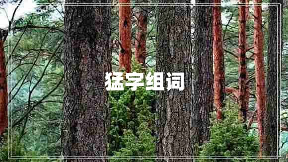 猛字組詞 猛字組詞