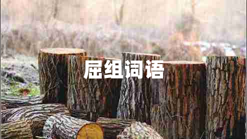 屈組詞語(yǔ) 屈組詞語(yǔ)