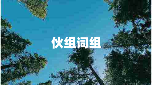 伙組詞組