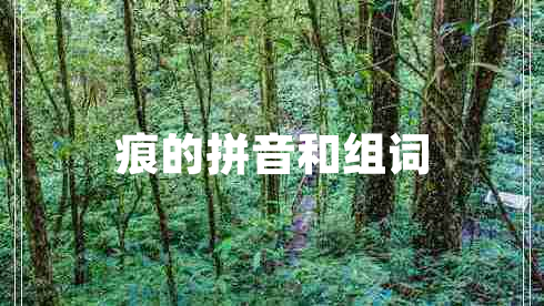 痕的拼音和組詞 痕的拼音和組詞