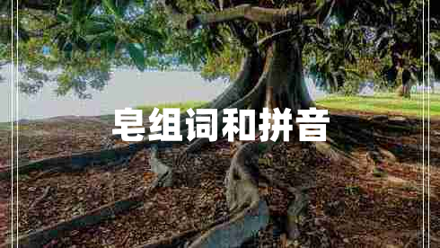 皂組詞和拼音
