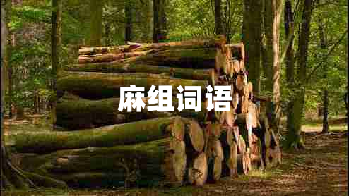 麻組詞語 麻組詞語
