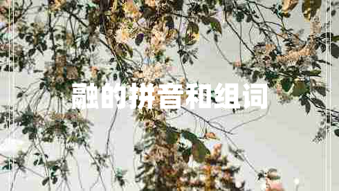 融的拼音和組詞