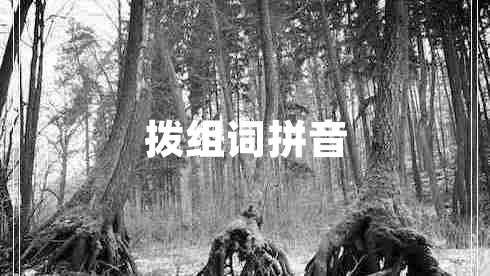 撥組詞拼音 撥組詞拼音