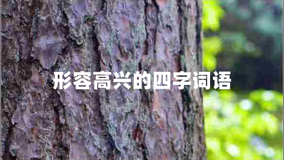 形容高興的四字詞語