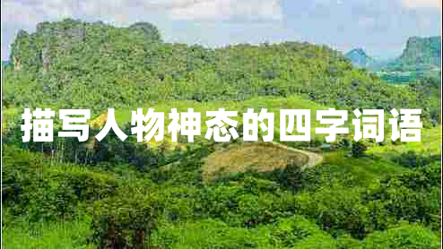 描寫人物神態(tài)的四字詞語
