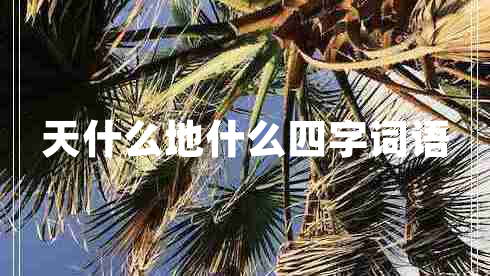 天什么地什么四字詞語