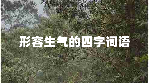 形容生氣的四字詞語