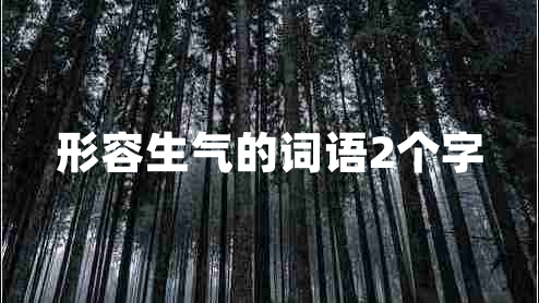 形容生氣的詞語2個字