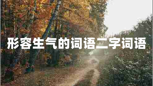 形容生氣的詞語二字詞語 形容生氣的詞語二字詞語