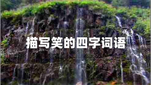 描寫笑的四字詞語