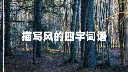 描寫風(fēng)的四字詞語