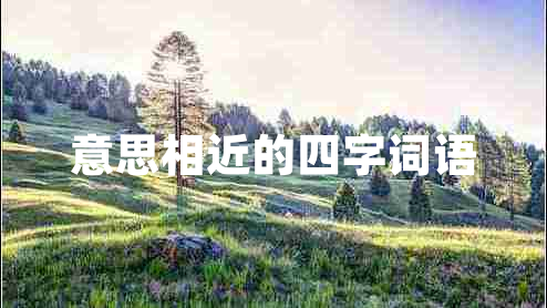 意思相近的四字詞語(yǔ)