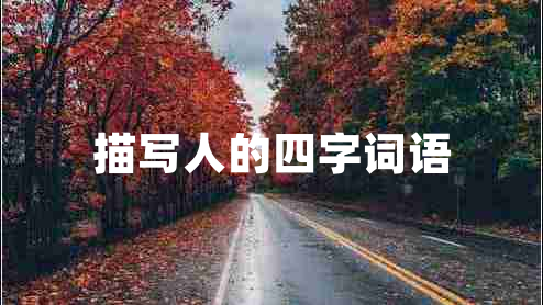 描寫人的四字詞語
