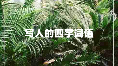 寫人的四字詞語(yǔ)