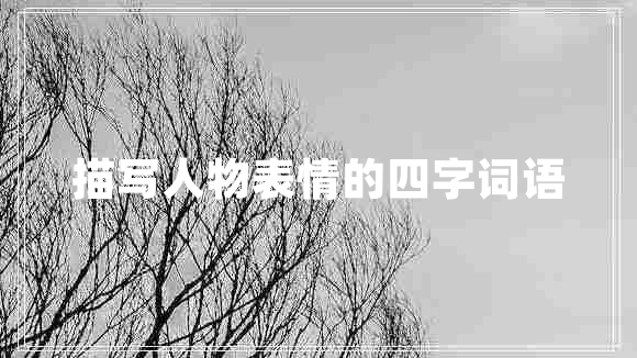 描寫人物表情的四字詞語 描寫人物表情的四字詞語